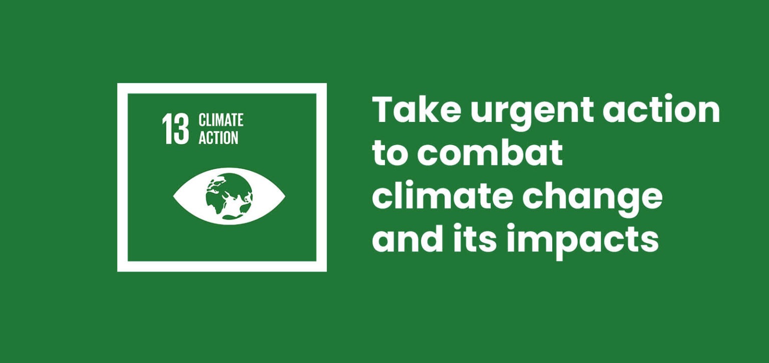 Enough has been talked about climate change - climate action now