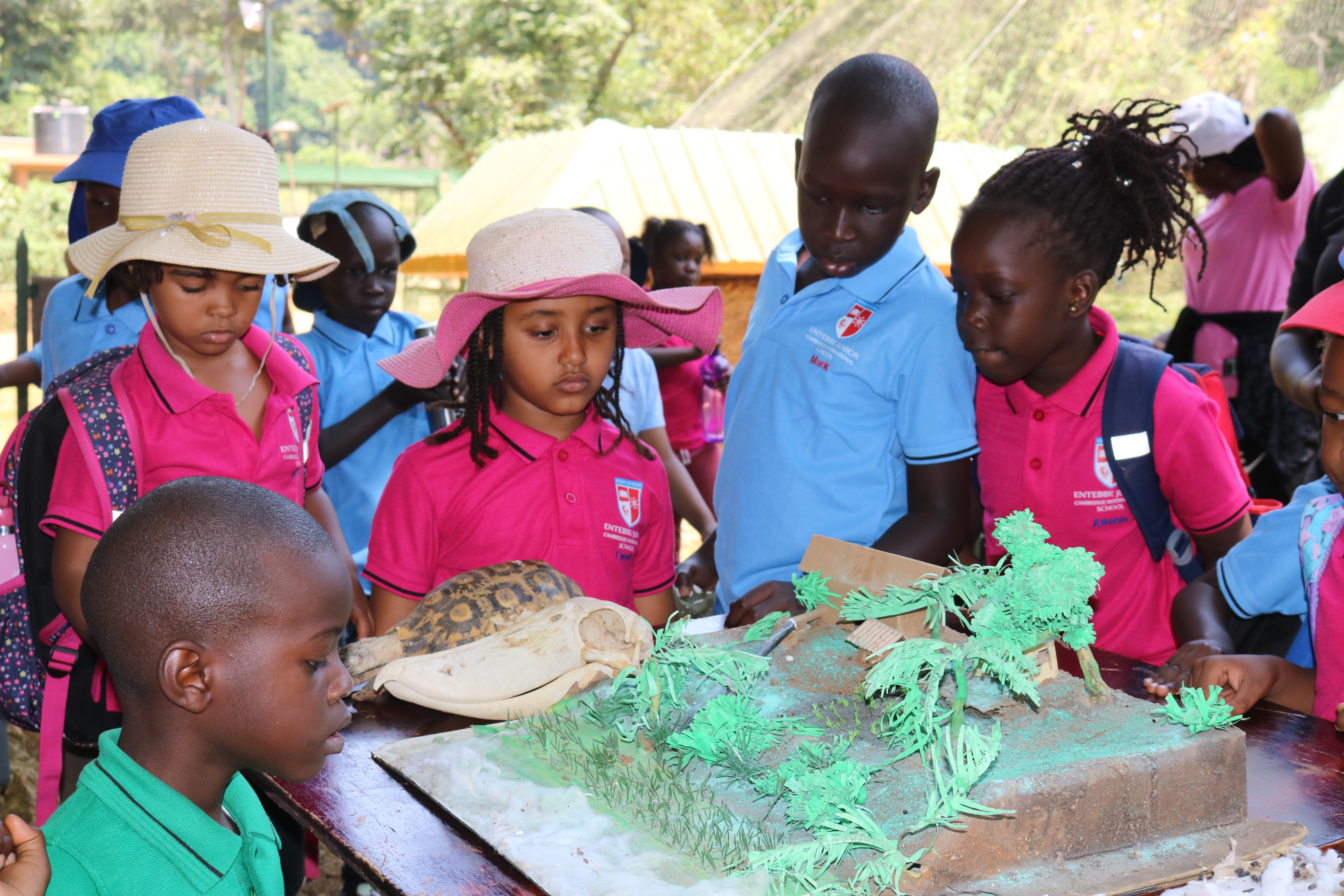 Climate literacy workshop
