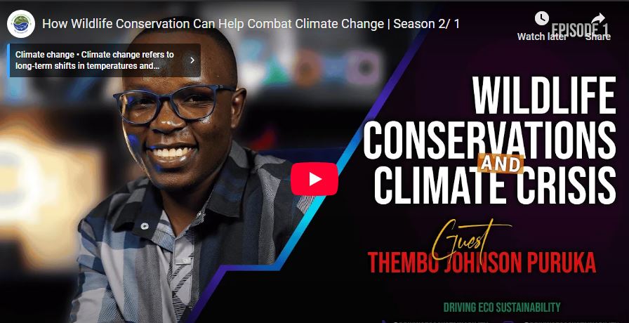 How wildlife conservation can help combat climate change